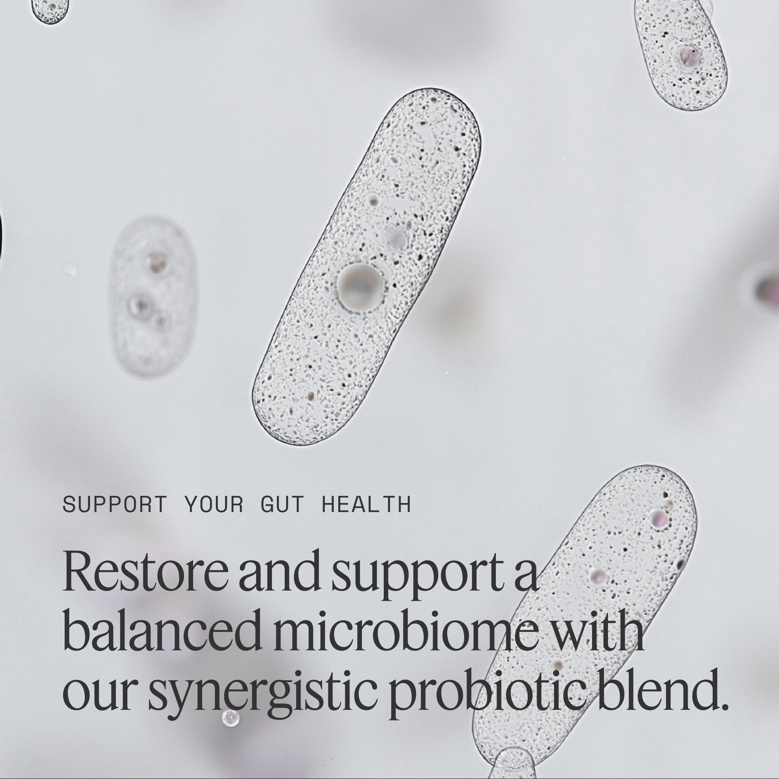 Synbiotica Daily — product image 2 of 6